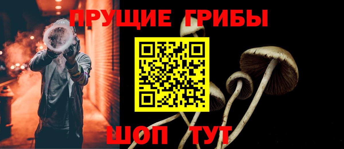 Галлюциногенные грибы прущие грибы Урус-Мартан