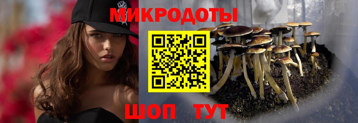 Галлюциногенные грибы прущие грибы  Галлюциногенные грибы GOLDEN TEACHER  Вход с VPN  Урус-Мартан 